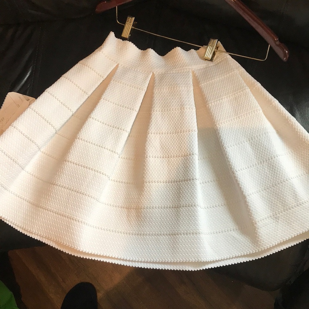 Express skirt